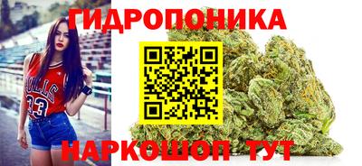 прущие грибы Заволжье