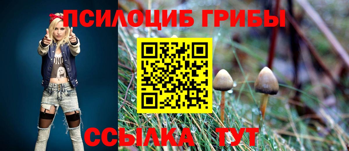 Псилоцибиновые грибы прущие грибы Урус-Мартан